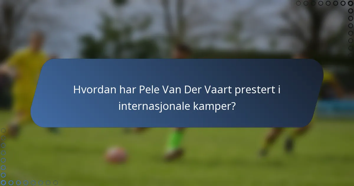 Hvordan har Pele Van Der Vaart prestert i internasjonale kamper?
